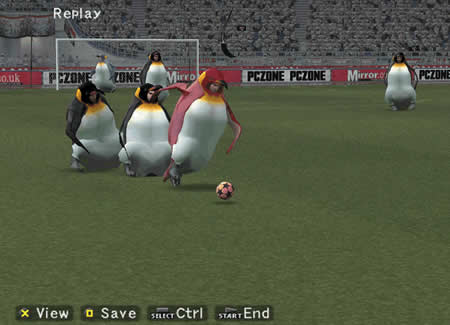 Futebol de Pinguins