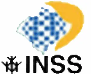 Instituto Nacional Seguro Social - INSS