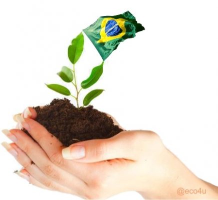 Desenvolvimento Sustentável no Brasil
