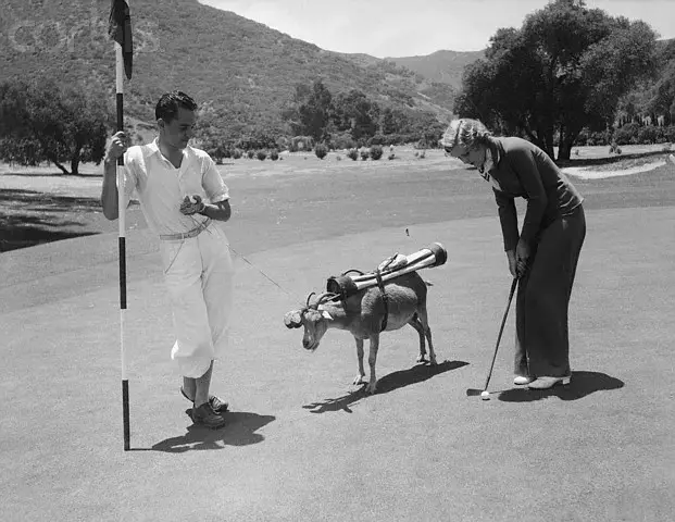 Carrinho de Golfe Nordestino