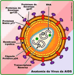 O que é AIDS?