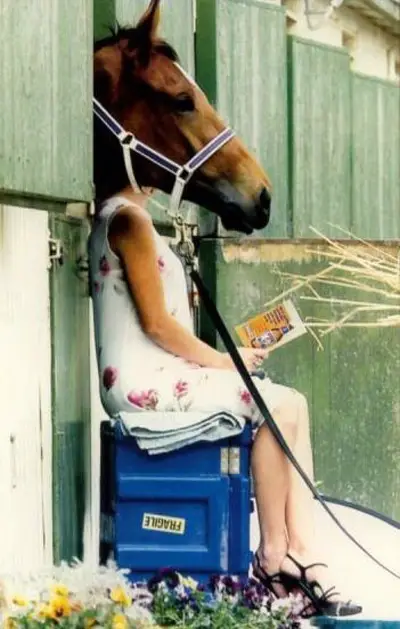 Mulher Cavalo