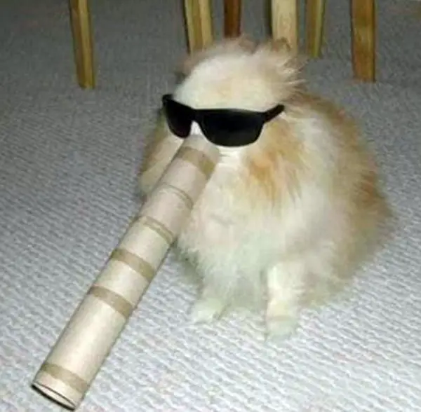Vamos começar a festa?