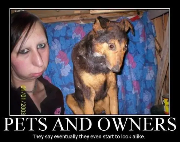 Cachorro Igual a Dona