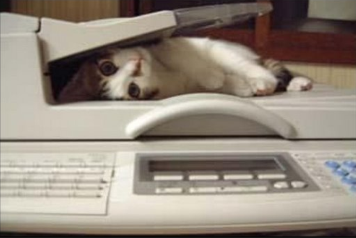 Fax de Gato