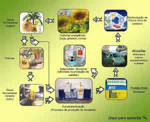 Produção Biodiesel