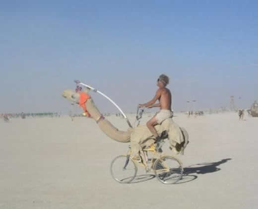 Camelo sobre Rodas