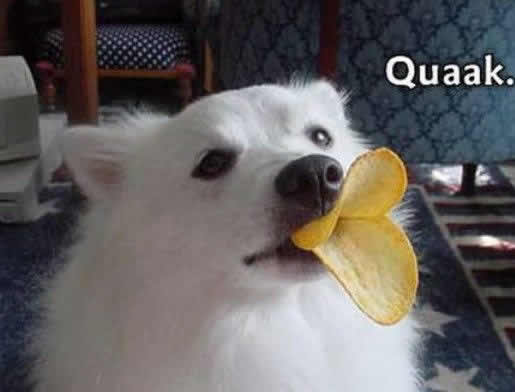 Quack