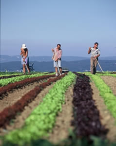 Ministério do Desenvolvimento Agrário