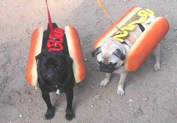 Hotdogs de Mau Humor
