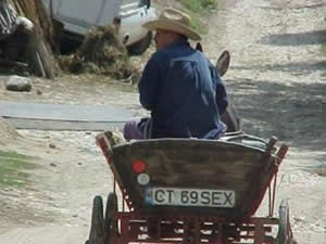 Carroça Emplacada