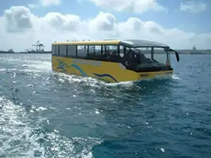 Ônibus Marinho