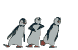 Pinguins Dançarinos