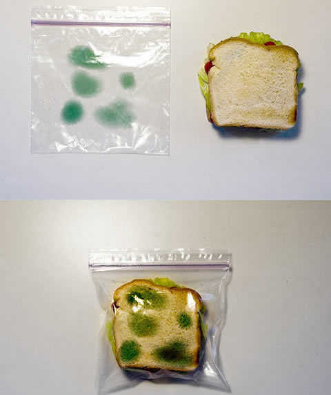 Sistema Anti-Roubo para Lanche