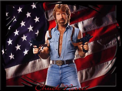 Verdades sobre Chuck Norris