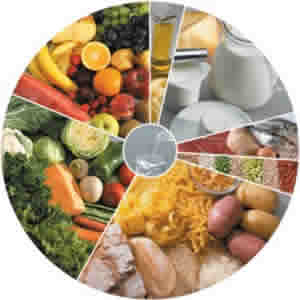 Segurança Alimentar e Nutricional