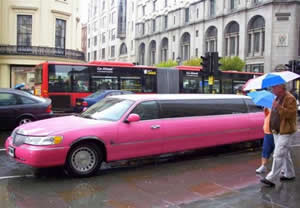 Limousine Rosa