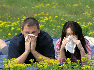 Alergias na Primavera