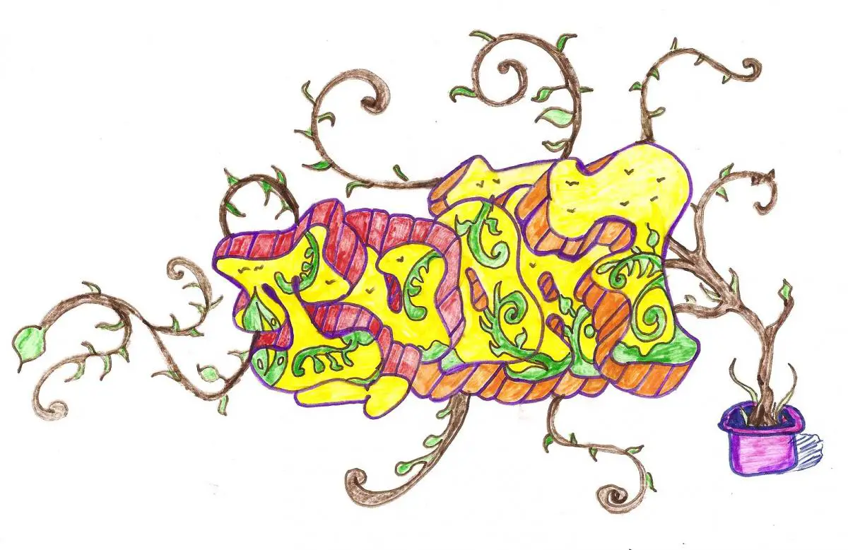 Grafites com Nomes