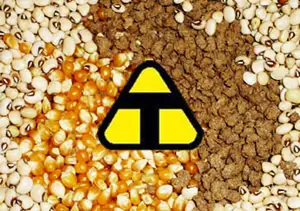 Alimentos