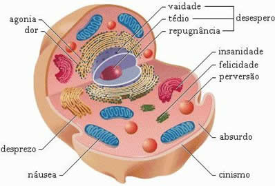 Organelas