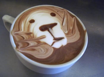 Como Fazer um Delicioso Café