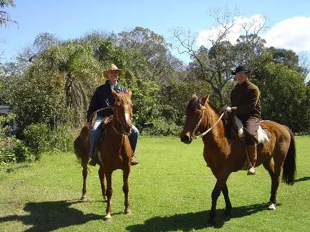 A Diversão dos Passeios a Cavalo