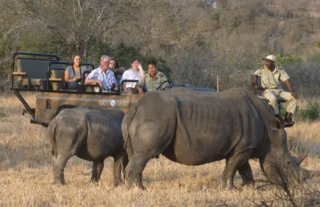 Animais Da Savana