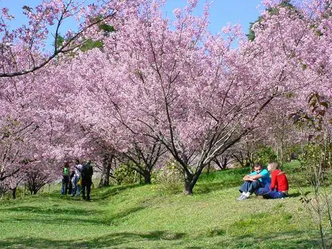 Pousada Parque das Flores em Campos do Jordão