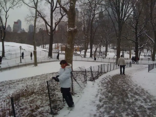 A Temperatura Em Nova York
