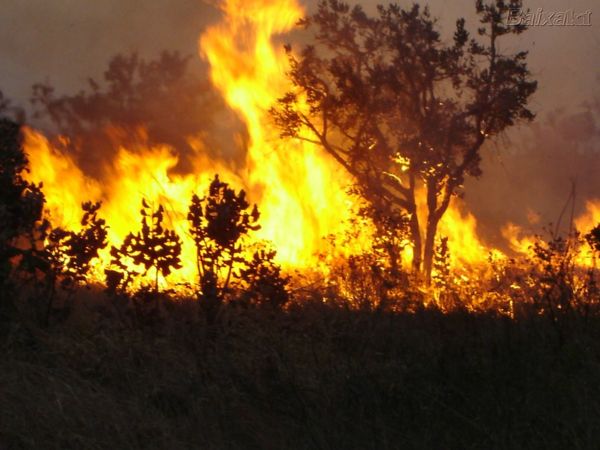 Destruicao Do Meio Ambiente