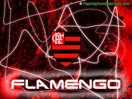 Torcida Jovem Flamengo