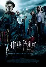 Harry Potter e o Cálice de Fogo (J.K. Rowling)‏
