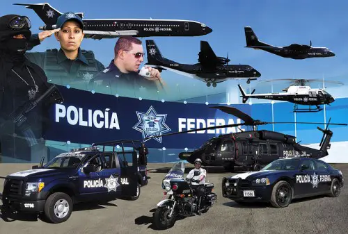 Concurso Policia Federal  