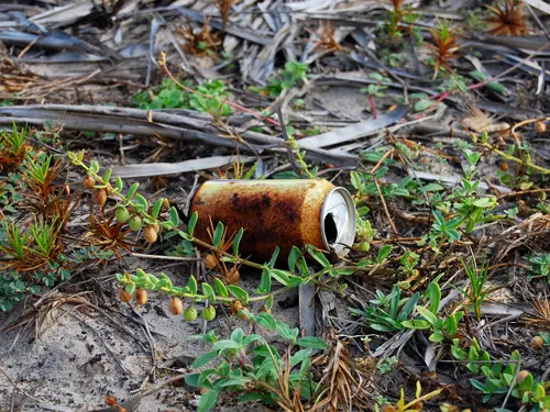 Poluição Ambiental VS Aquecimento Global