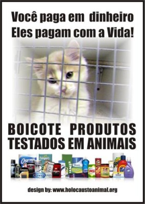 Empresas Que Testam Em Animais