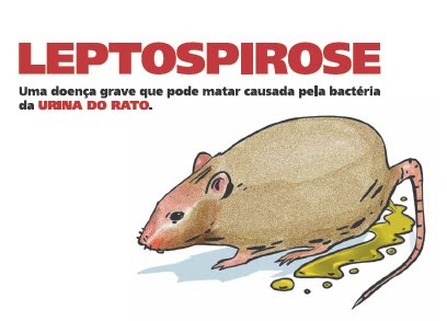 Leptospirose Prevenção