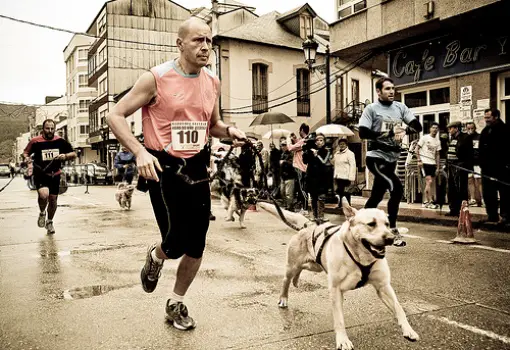 Canicross: Corrida Com Cães