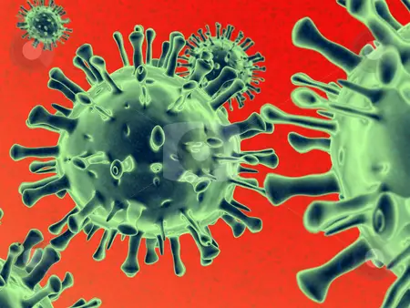 Diferença Entre Bactéria e Vírus
