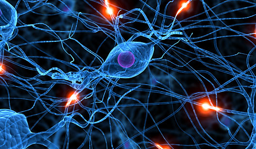 Neurotransmissores: Características Gerais