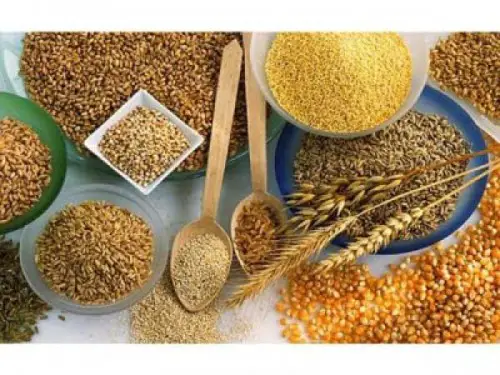 Alimentação Integral Aumenta a Fertilidade Feminina?
