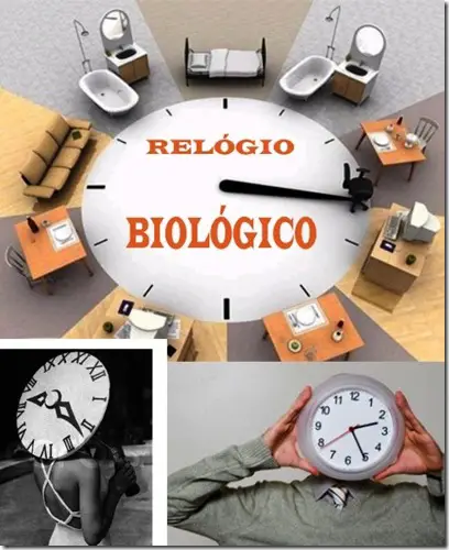 A Sincronia dos Relógios Biológicos