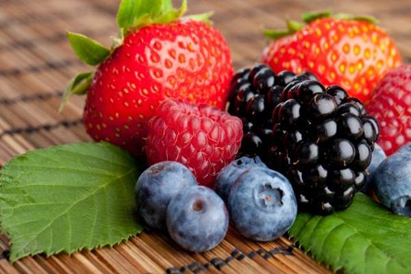 Como Colocamos Antioxidantes no Organismo