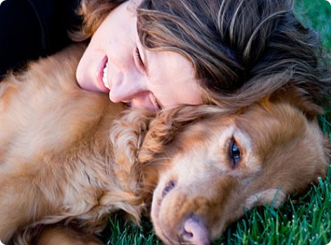 A Responsabilidade do Dono de um Cão