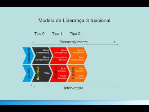 Tipos de Liderança: Situacional