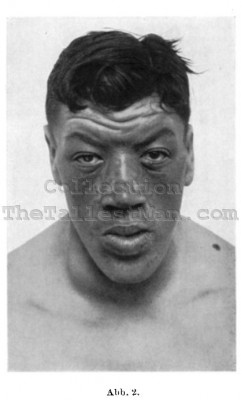 Adam Rainer