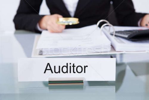  Auditor Financeiro