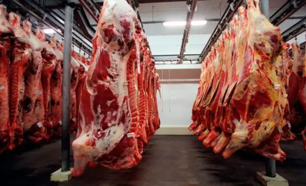 Exportação de Carne Bovina
