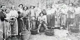 Imigrantes da América do Sul