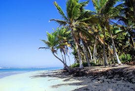 Praia de Punta Cana